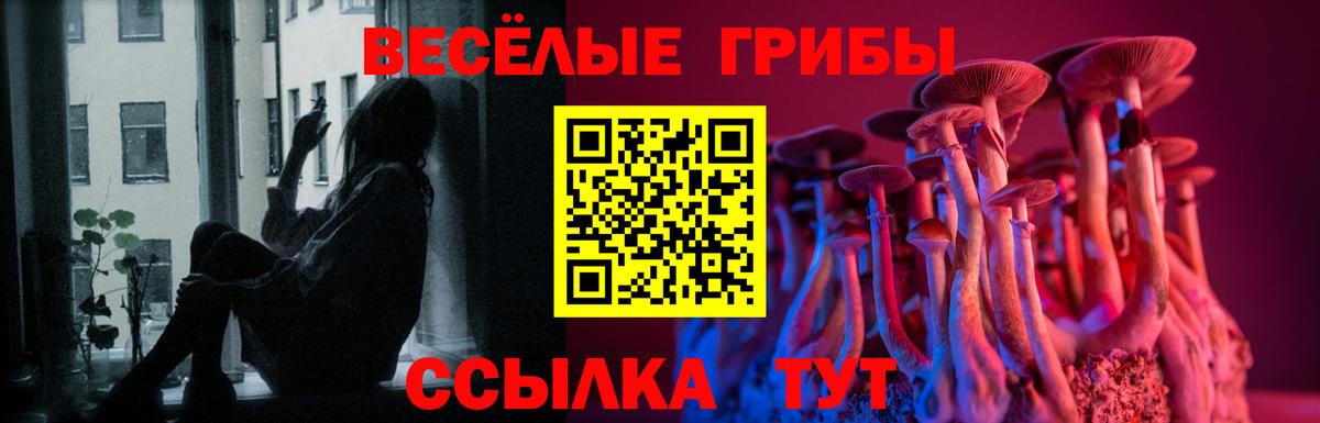 Нягань  Галлюциногенные грибы Psilocybe  Вход с VPN 